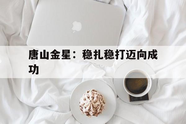 唐山金星：稳扎稳打迈向成功的简单介绍